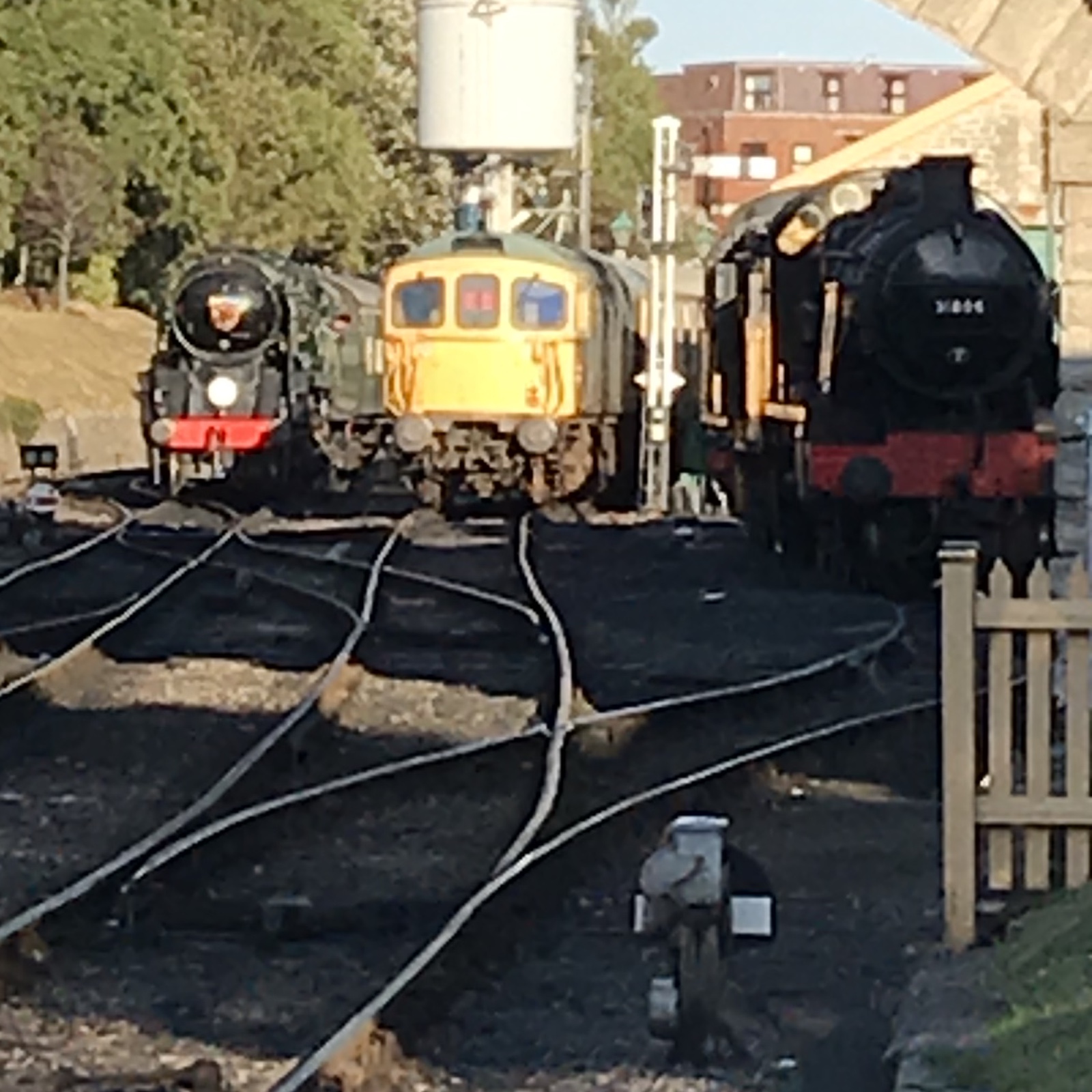 Swanage Railway Volunteer - Swanage Station